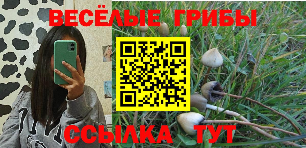 Галлюциногенные грибы Magic Shrooms  Вход с VPN  Саранск  Псилоцибиновые грибы мицелий 