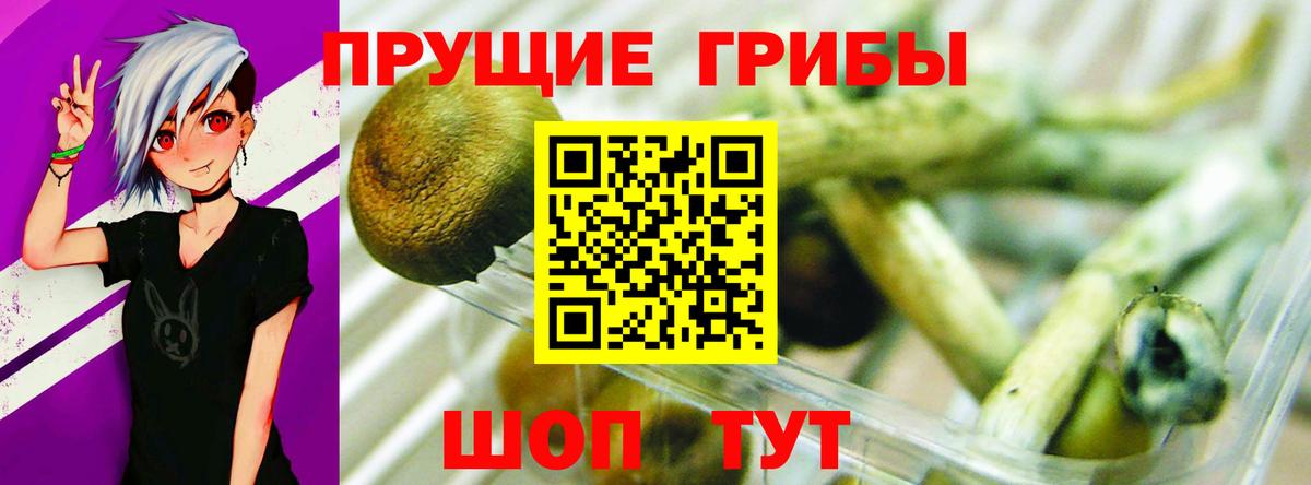 Псилоцибиновые грибы ЛСД Саранск